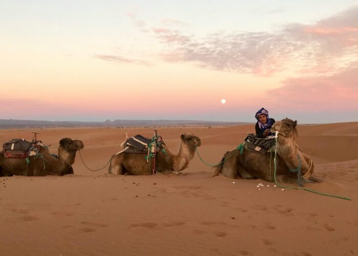 Tour del Marocco di 14 giorni da Tangeri