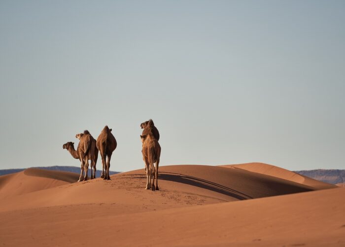 Tour di 6 giorni da Agadir al deserto